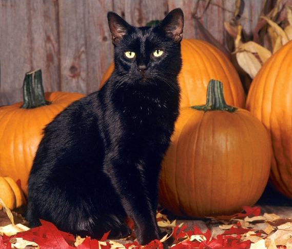 Autumn Is Here!