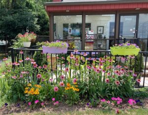 Enjoy the Summer Flowers!
