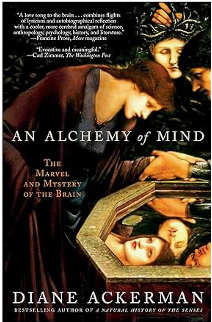 An Alchemy of Mind, The Marvel and Mystery of the Brain